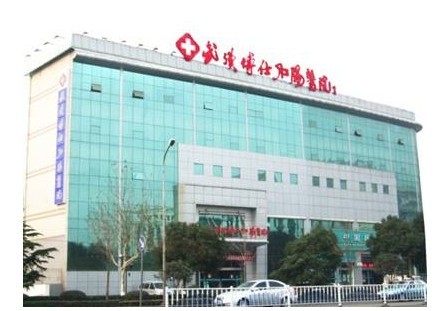 武漢博仕肛腸醫院有限公司